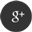 Google+